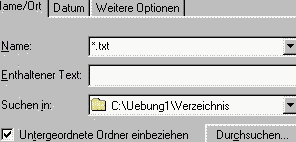 Suchfenster Win98