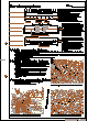 Zum Arbeitsblatt